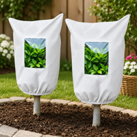 White — 2-Pack